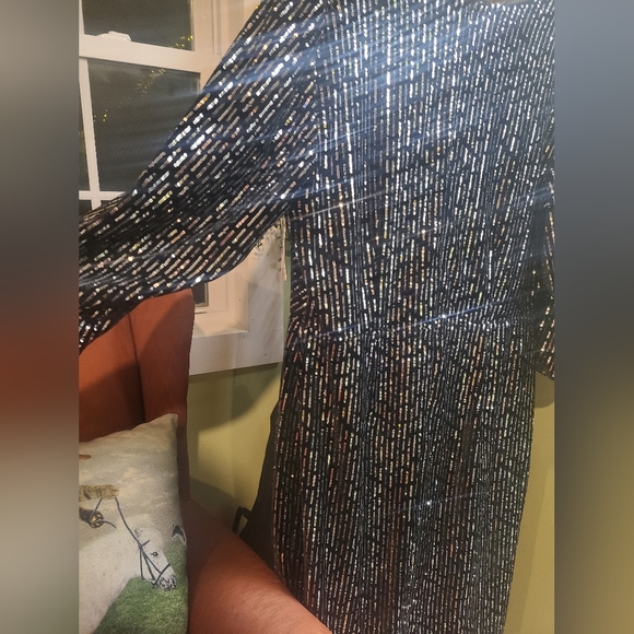 Lane Bryant Velvet & Sequin Dress - Size 14 - New - Picture 4 of 8